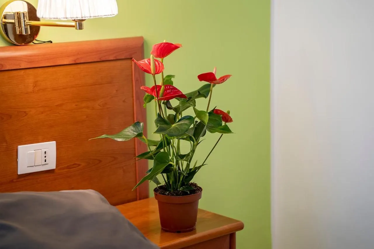 Hotel Il Passetto Roma Italia